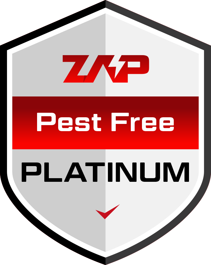 Platinum plan badge icon