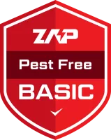 basic plan badge icon